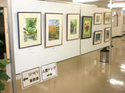 作品展示