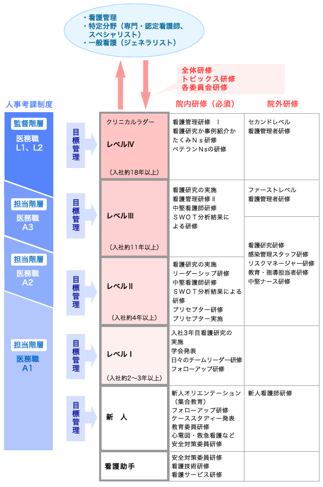 看護職の教育体系